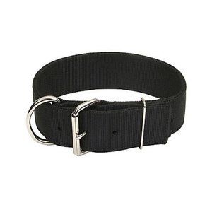 Used Dog Collar